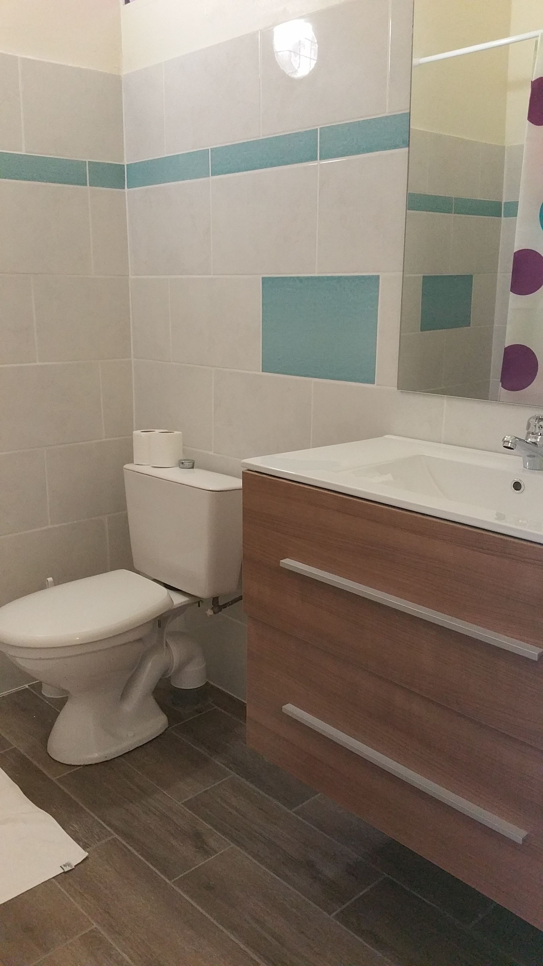 A bathroom with a toilet, sink, and mirror.