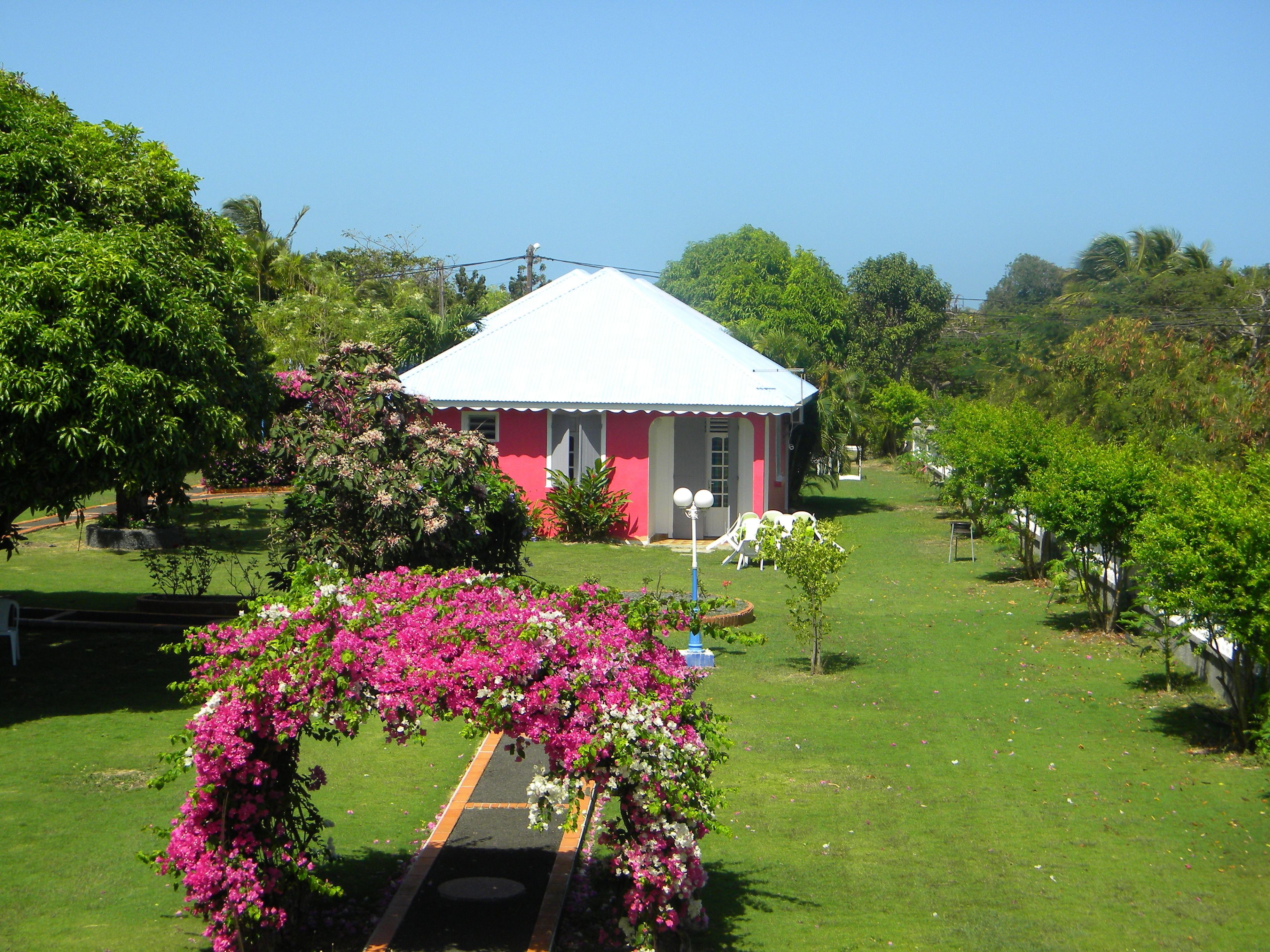 庭園