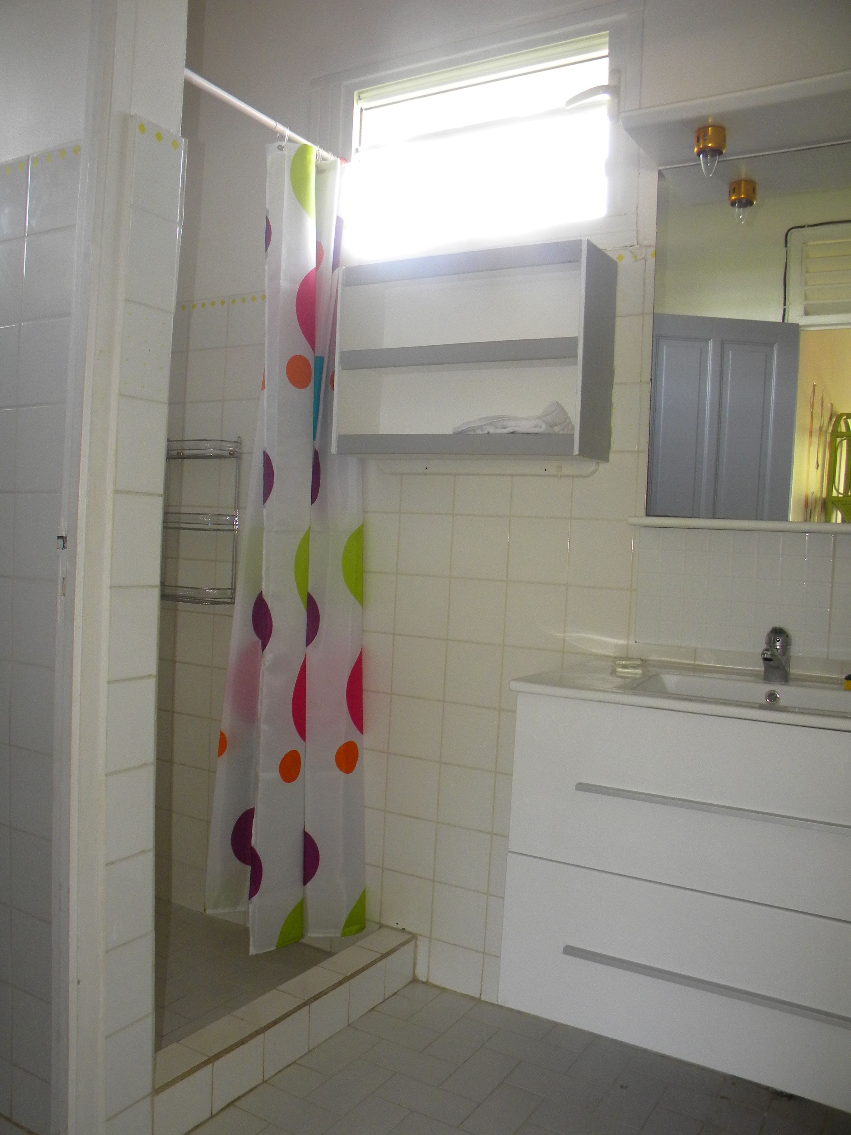 Ein Badezimmer mit Duschvorhang, Waschbecken und Spiegel.