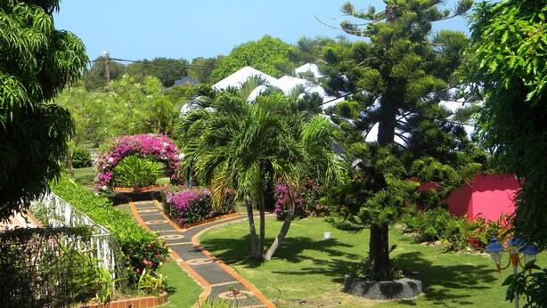 A garden pathway with a curved design, surrounded by lush greenery and flowering plants. - Domaine de May (Saint-François)