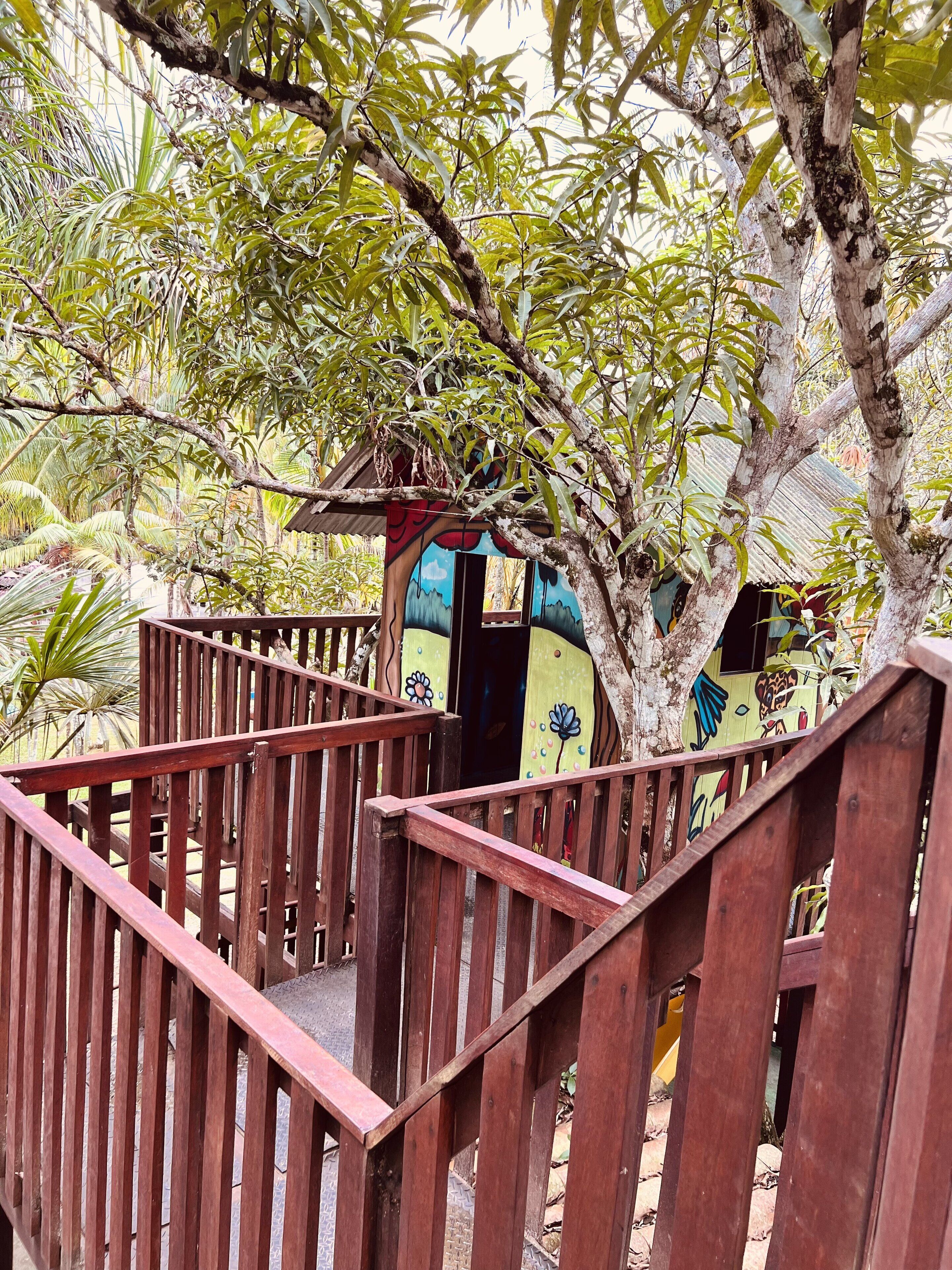 A wooden staircase leading to a treehouse with colorful murals.