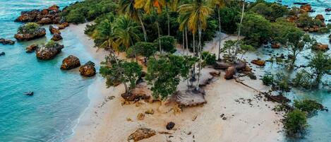Nära stranden