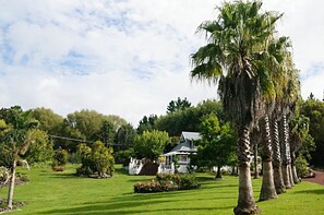 Property grounds - Silver Waters Lodge (Dairy Flat)