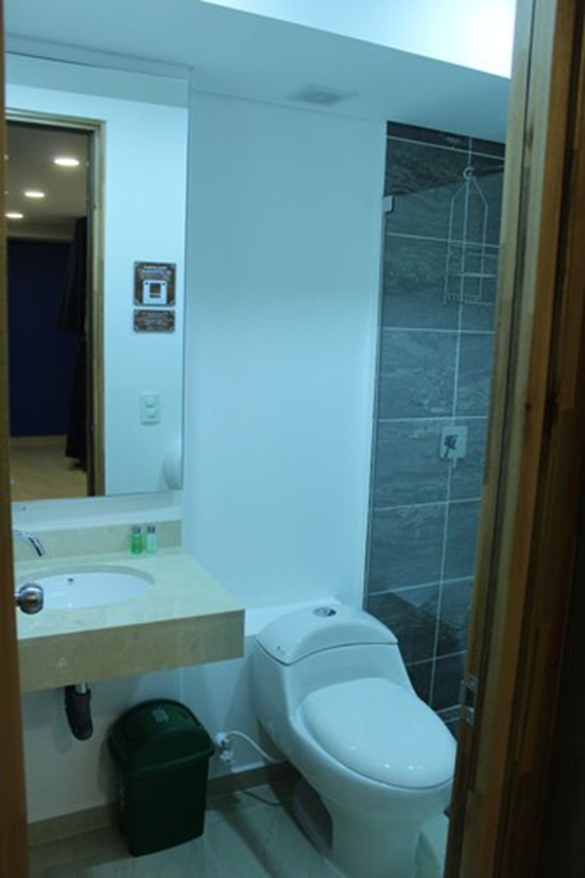 A bathroom with a toilet, sink, and shower.