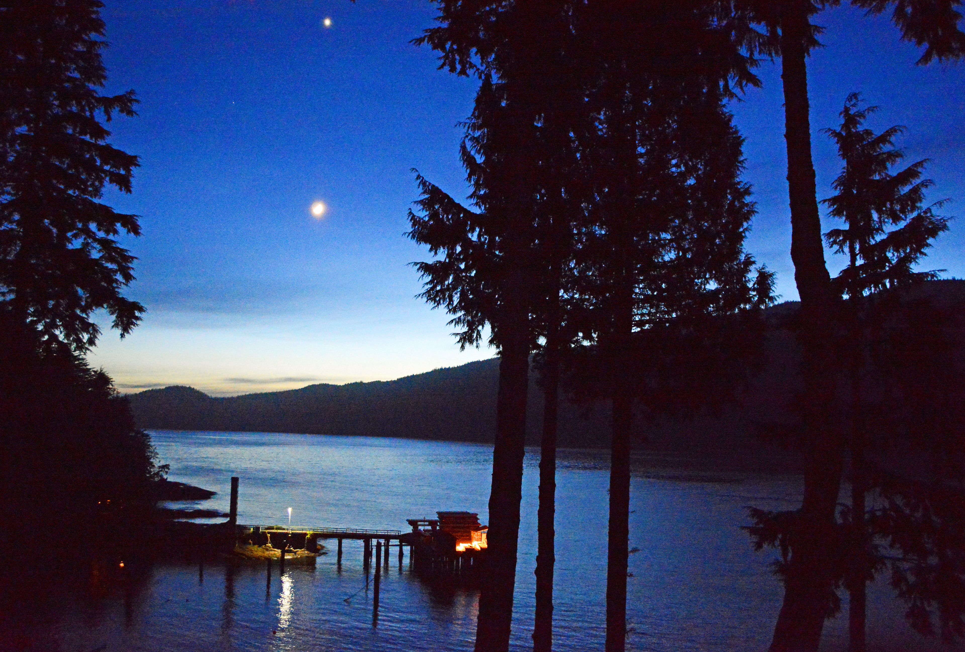 Handsome Dan's Port Renfrew