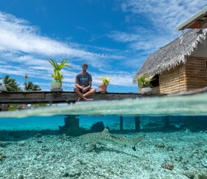 Exterior - Tetamanu Village & Sauvage (Fakarava)