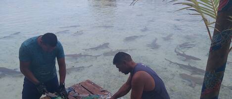 Two men processing fish on a wooden table by a water body with a thatched-roof structure in the background.