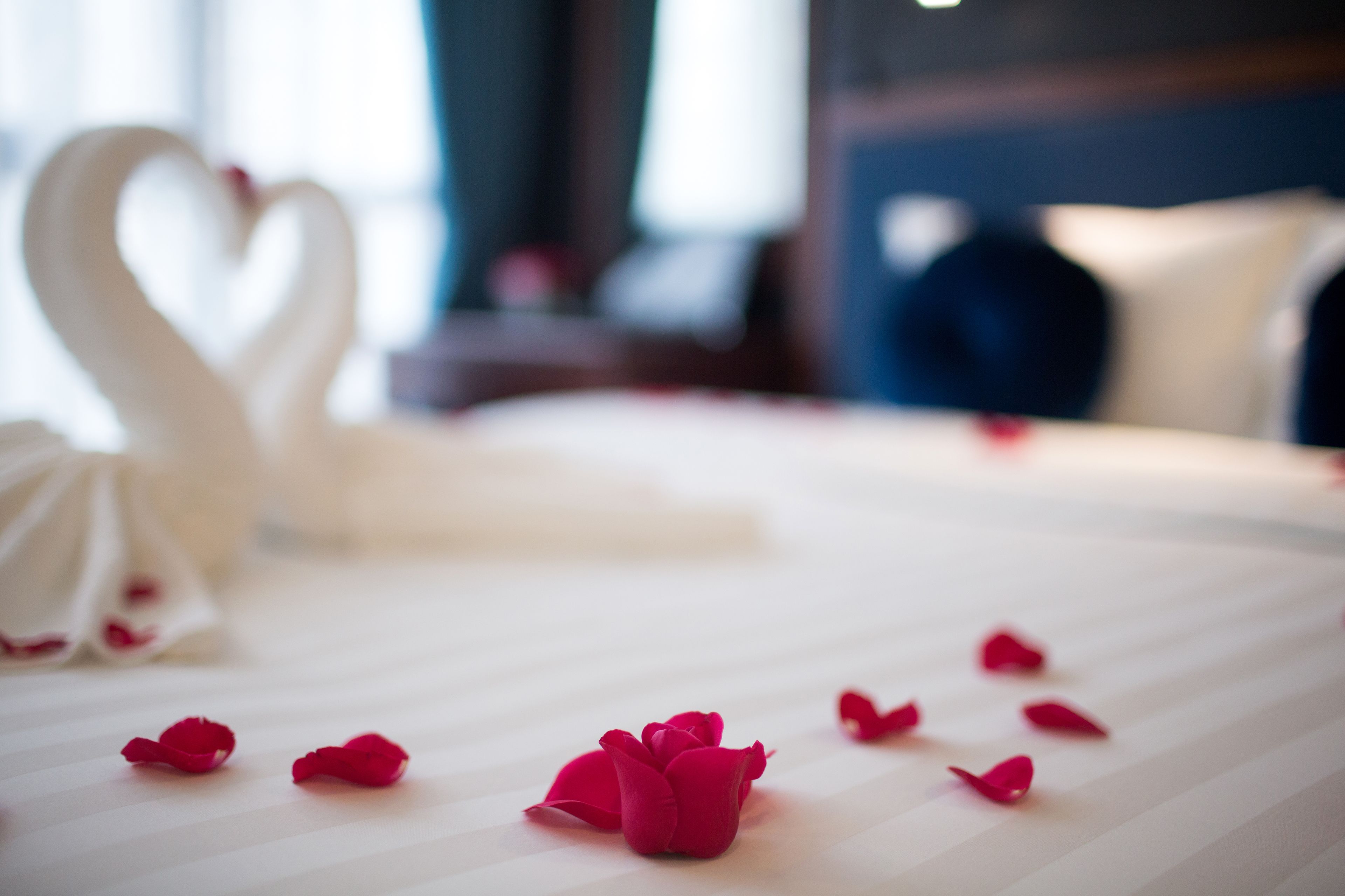 Una cama con pétalos de rosa y un almohadón con forma de cisne.