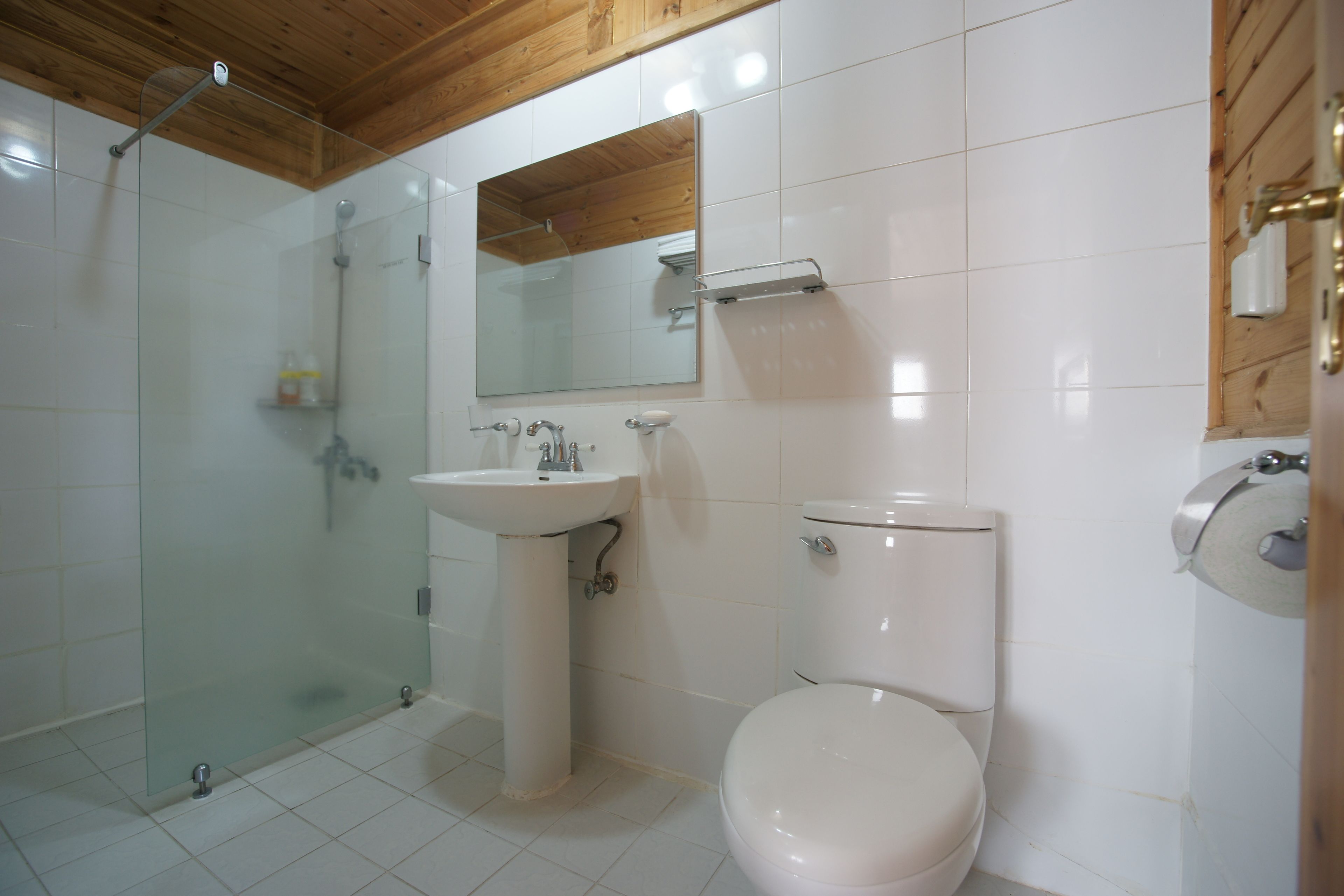 A bathroom with a glass shower enclosure, a sink, a toilet, and a mirror.