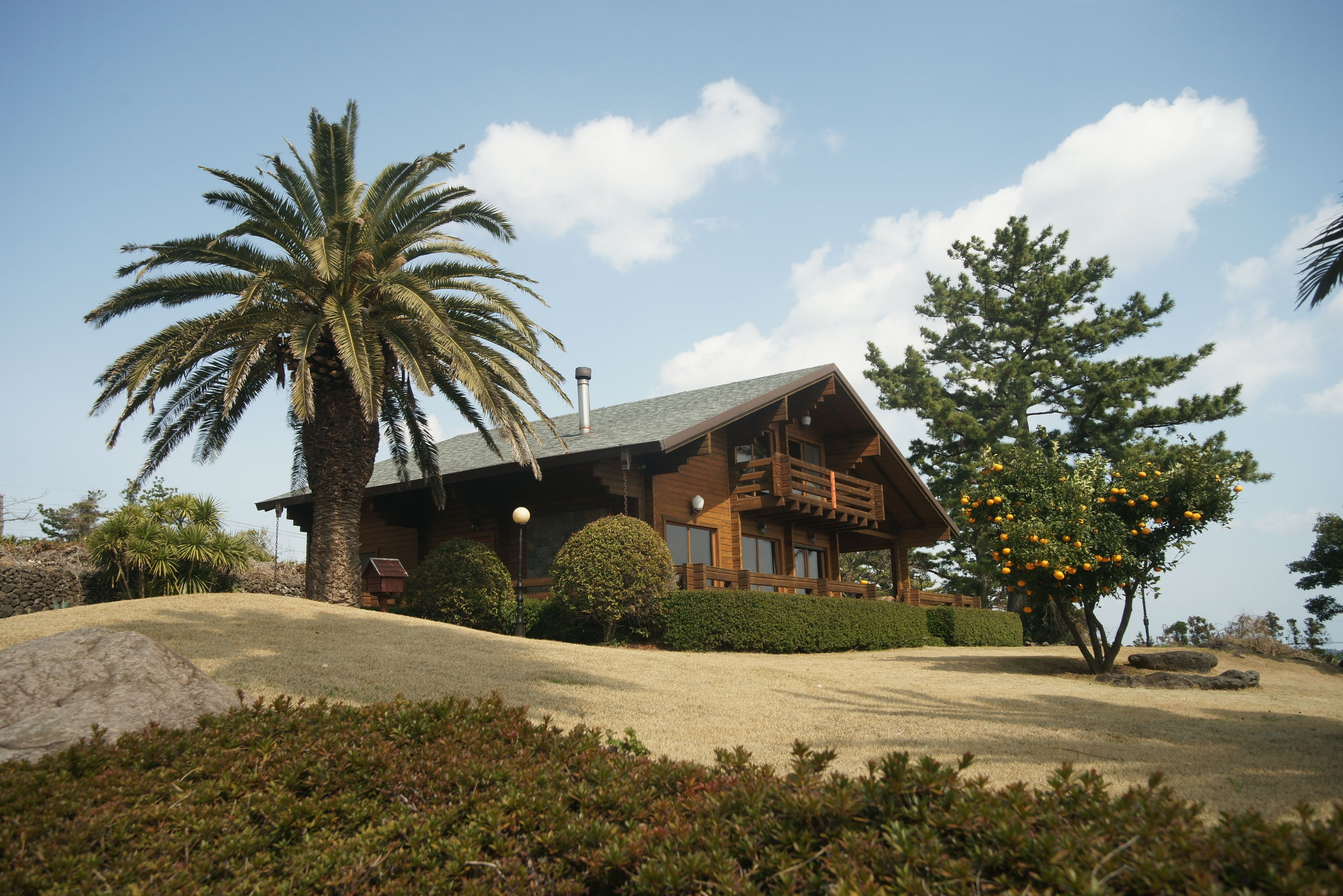 A wooden cabin with a sloped roof, surrounded by a well-maintained lawn and various trees, including a palm and an orange tree.