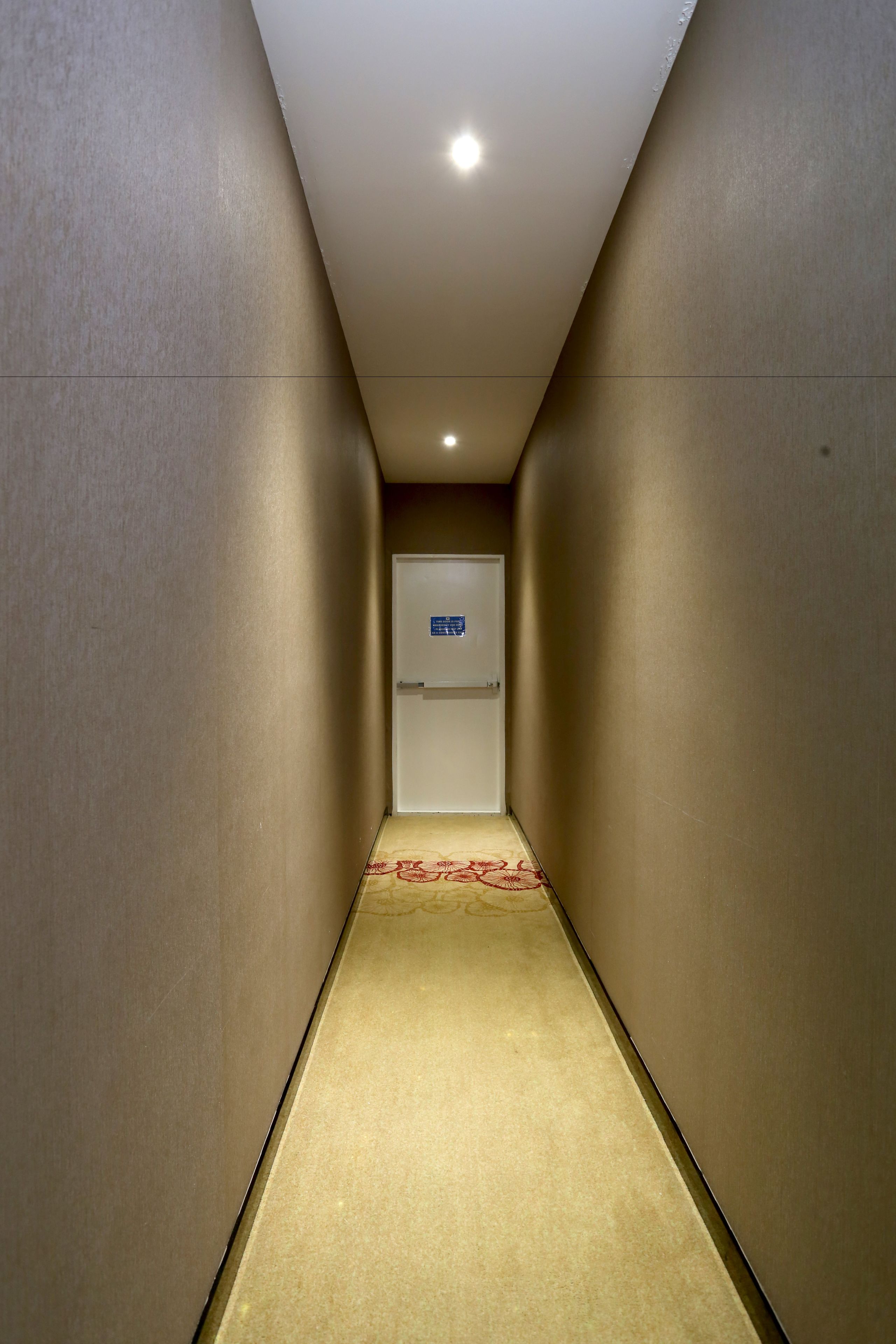 A narrow hallway with a carpeted floor and a door at the end.