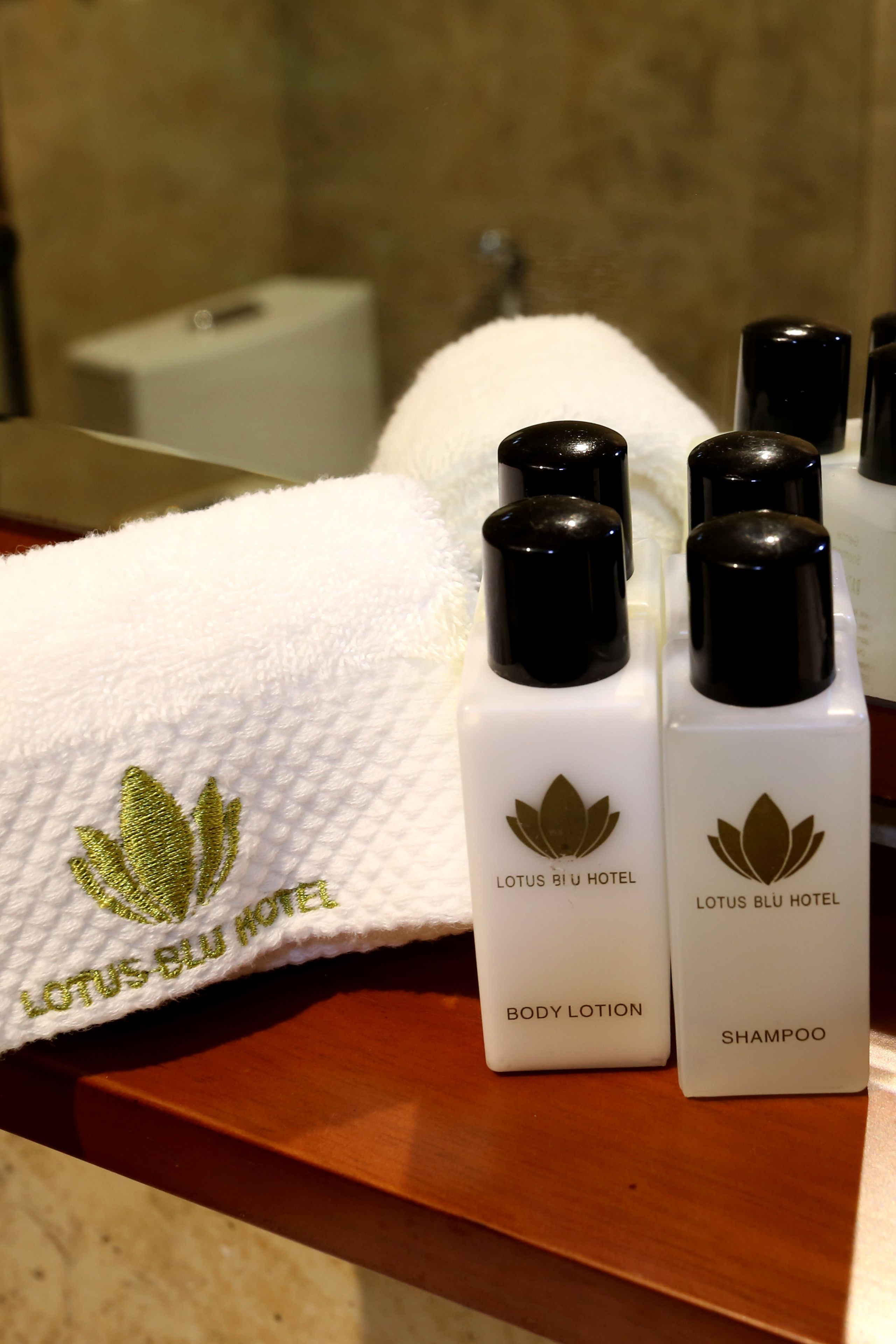 shower, free toiletries, hair dryer, slippers