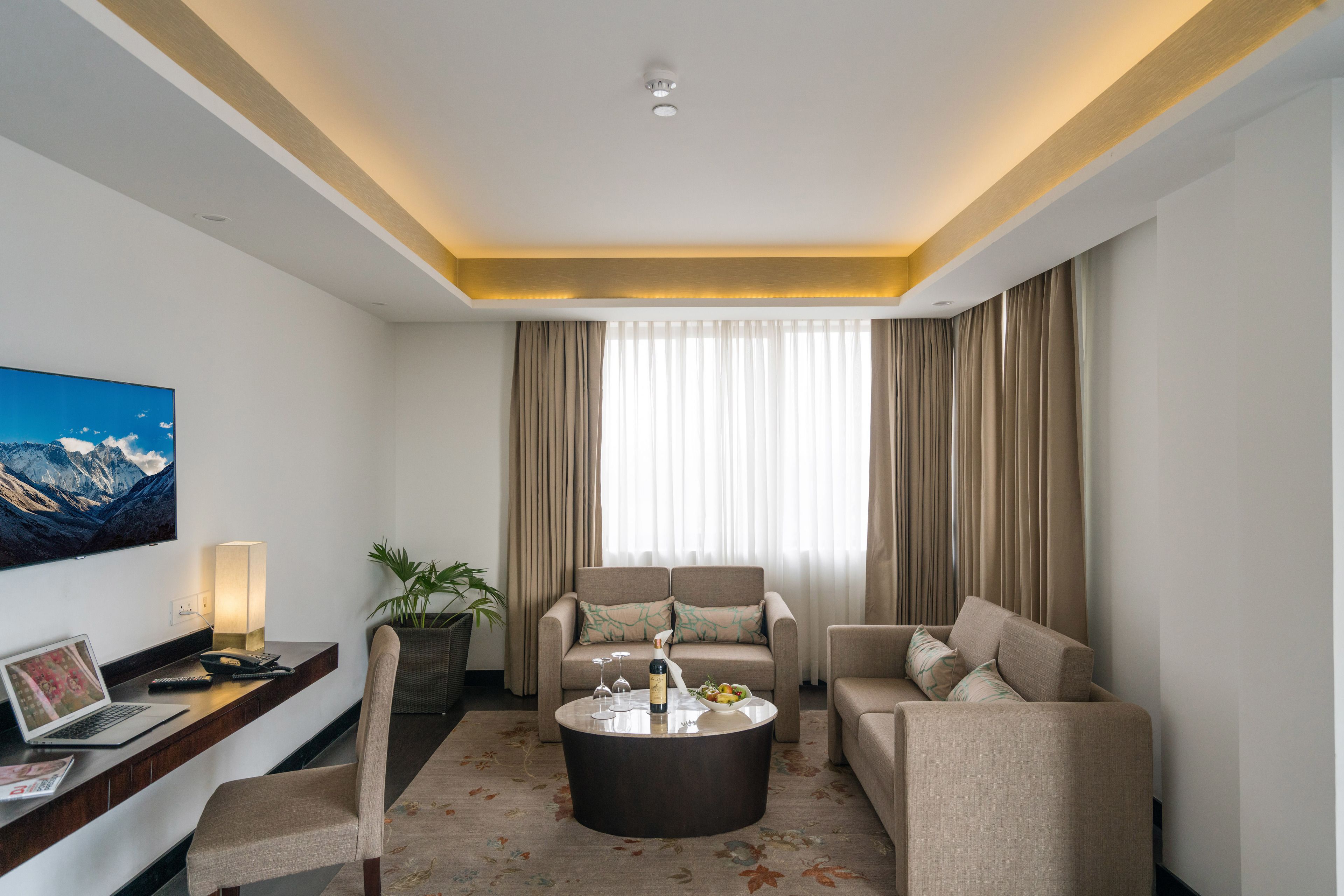 presidential studio suite | living room | flat-screen tv