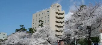 Okazaki Daiichi Hotel