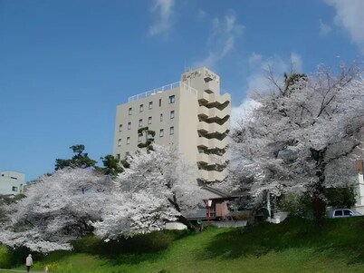 Okazaki Daiichi Hotel