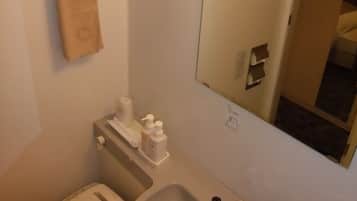 Combined shower/tub, free toiletries, hair dryer, slippers