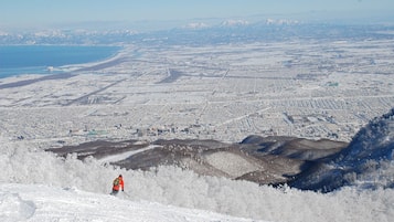 A snowy landscape with a person skiing.