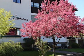 Eingangsbereich