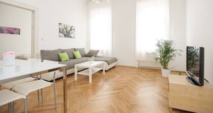 Vienna Apartment One Liechtensteinstr.