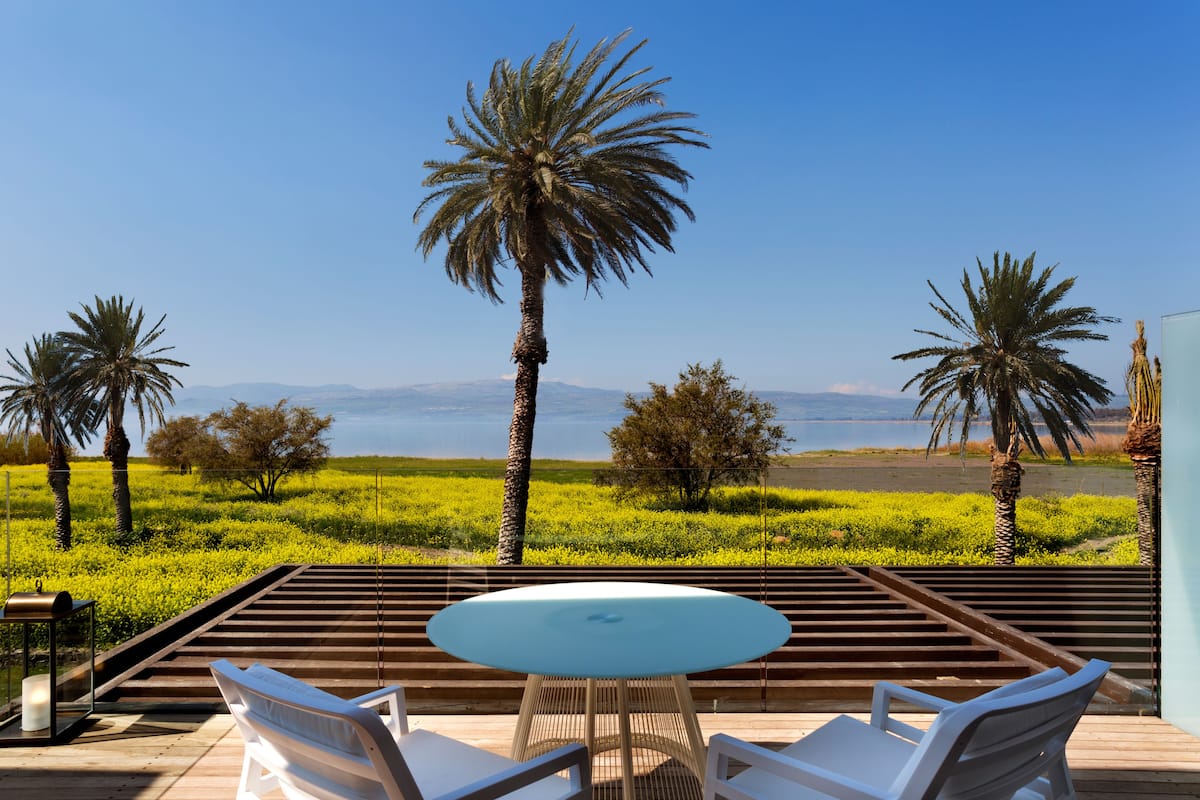 A terrace with a table and chairs, palm trees, and a view of the sea.