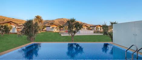A swimming pool with a wooden deck, surrounded by a grassy area and palm trees, with houses in the background.