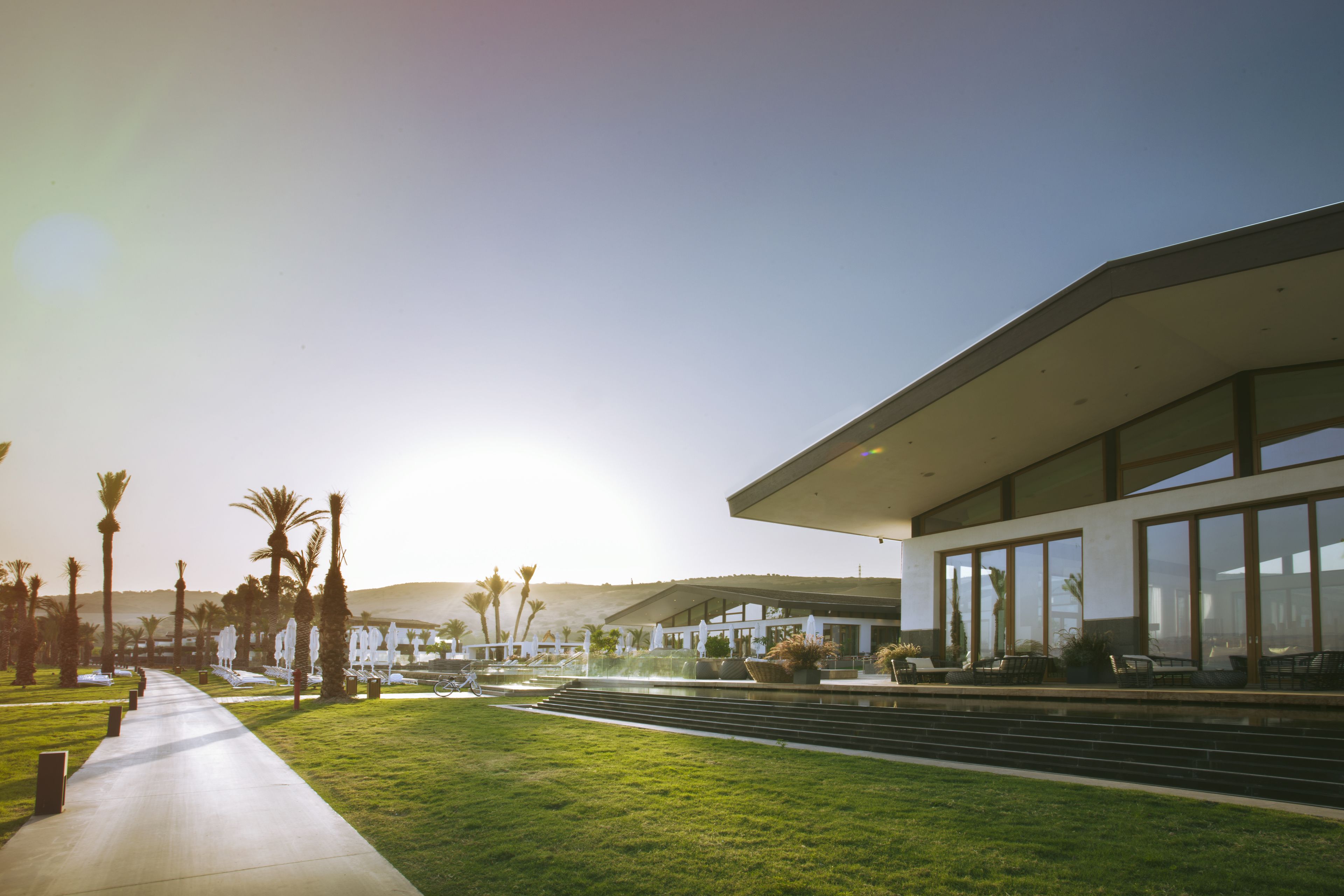 A modern building with a glass facade, a paved pathway, and palm trees.