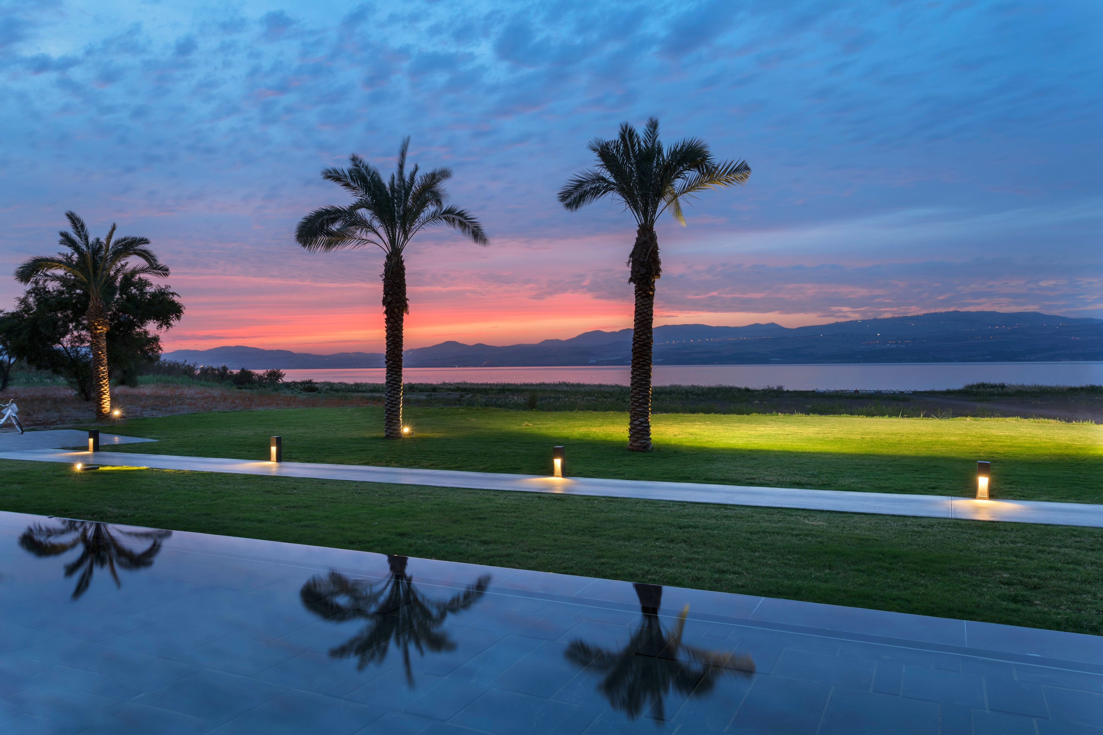 A serene outdoor area with palm trees and a reflective pool, likely part of a resort or hotel.