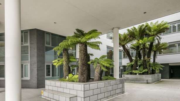 Un edificio moderno con ventanas amplias y un jardín interior con helechos.