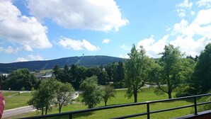 A view of a green landscape with trees, a road, and a distant mountain. - Hotel Miriquidi (Oberwiesenthal)