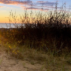 On the beach, white sand