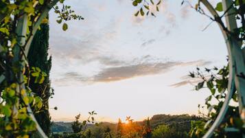 Una ventana circular enmarcada por follaje, mostrando un atardecer sobre un paisaje montañoso.