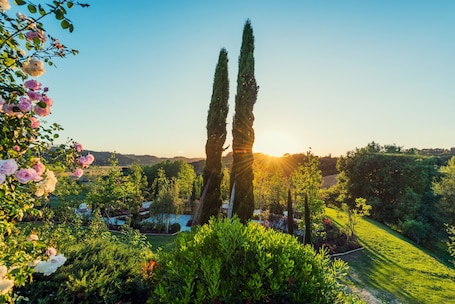 View from property. Relais Sassa al Sole