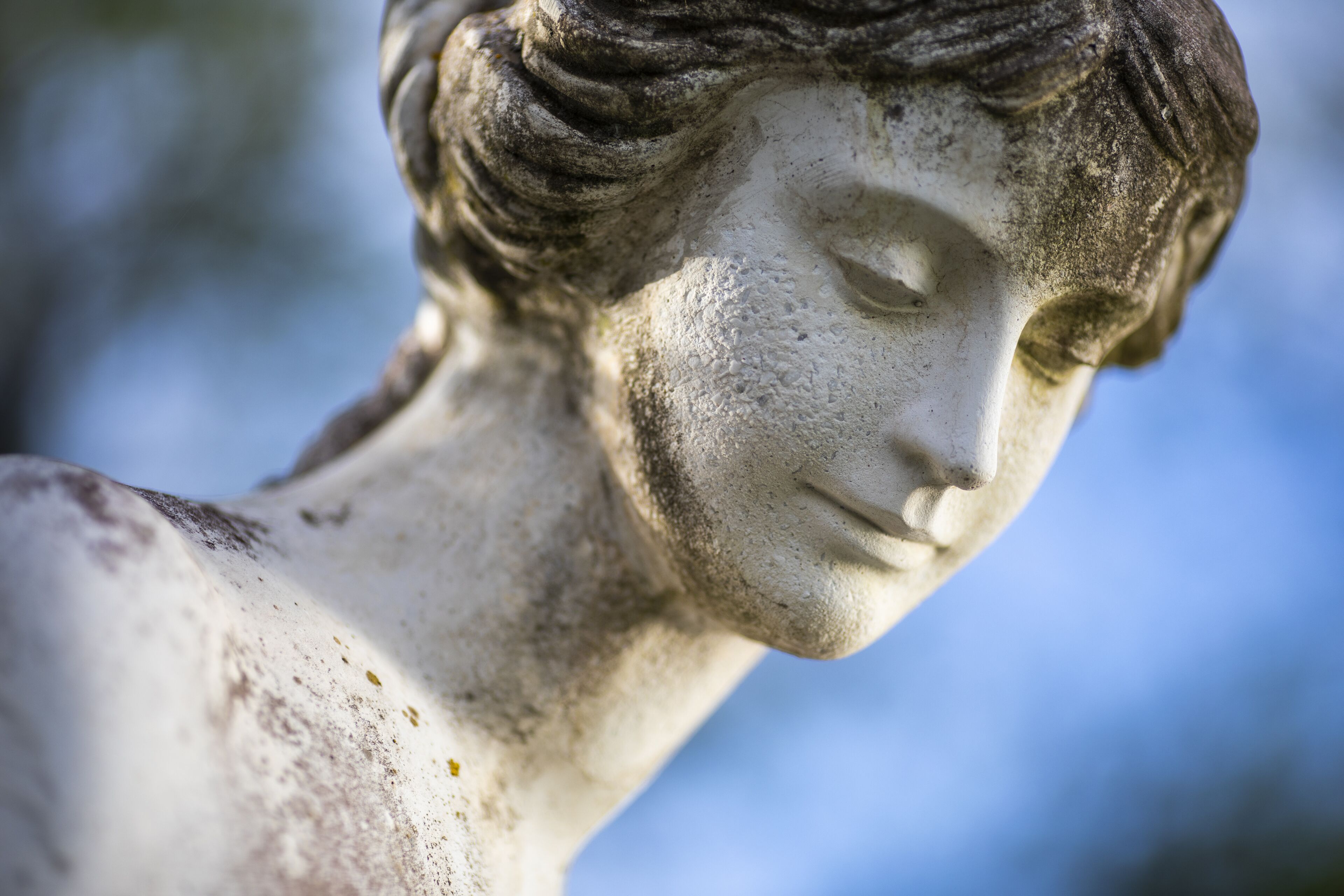 A close-up of a statue with a detailed head and upper torso.