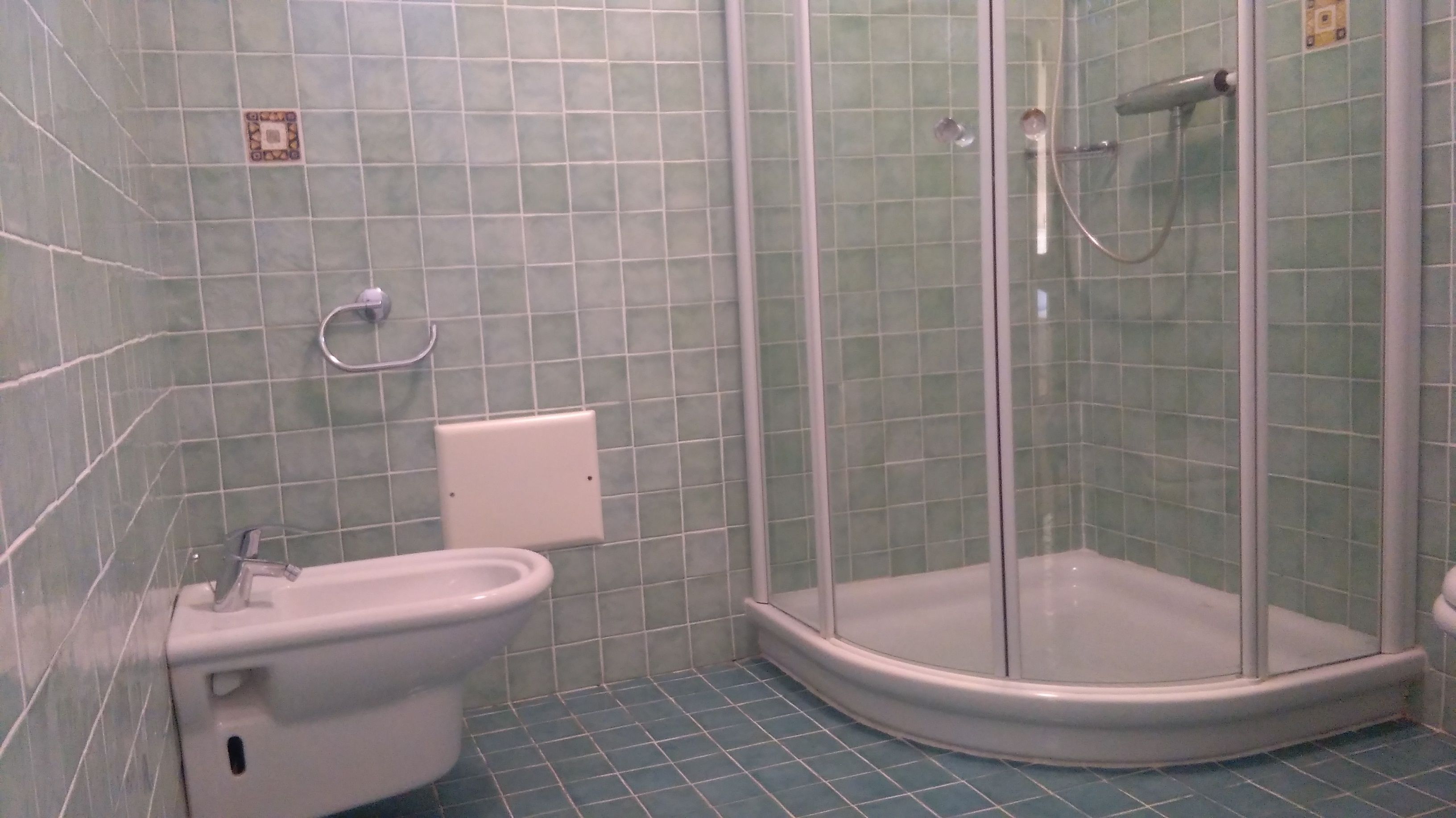 Ein Badezimmer mit Dusche, Bidet und Toilette.