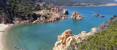 Playa en los alrededores, camastros y sombrillas 