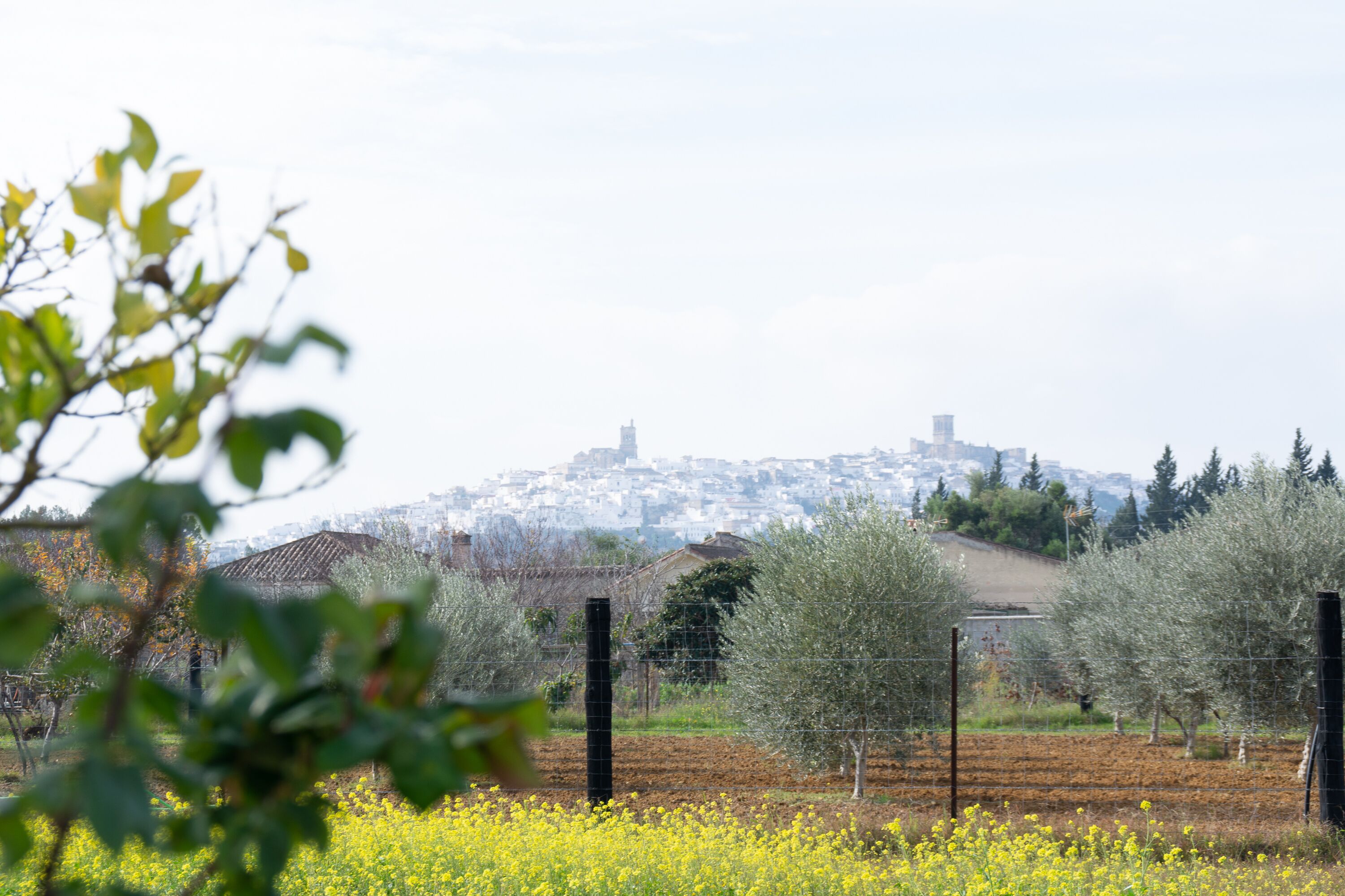 Foto - Hostal Rural La Plata Parking Incluido