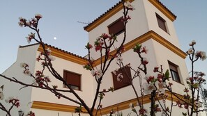 واجهة المنشأة