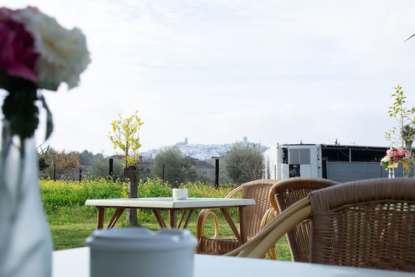 View from property