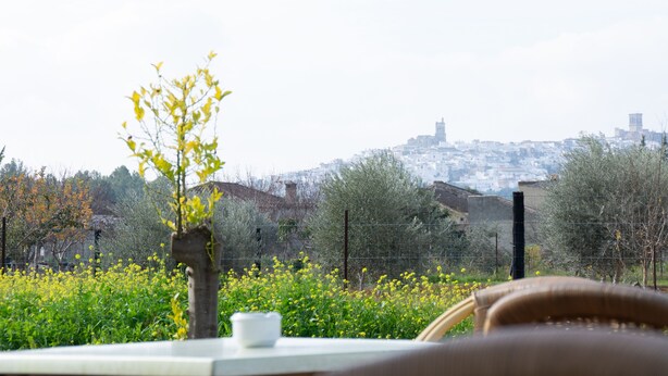 Uma mesa com uma xícara branca e um vaso com flores amarelas, com vista para um horizonte urbano com edifícios e árvores.