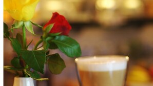 A close-up of a yellow and red rose in a white vase, with a blurred background. - Baums Rheinhotel (Boppard)