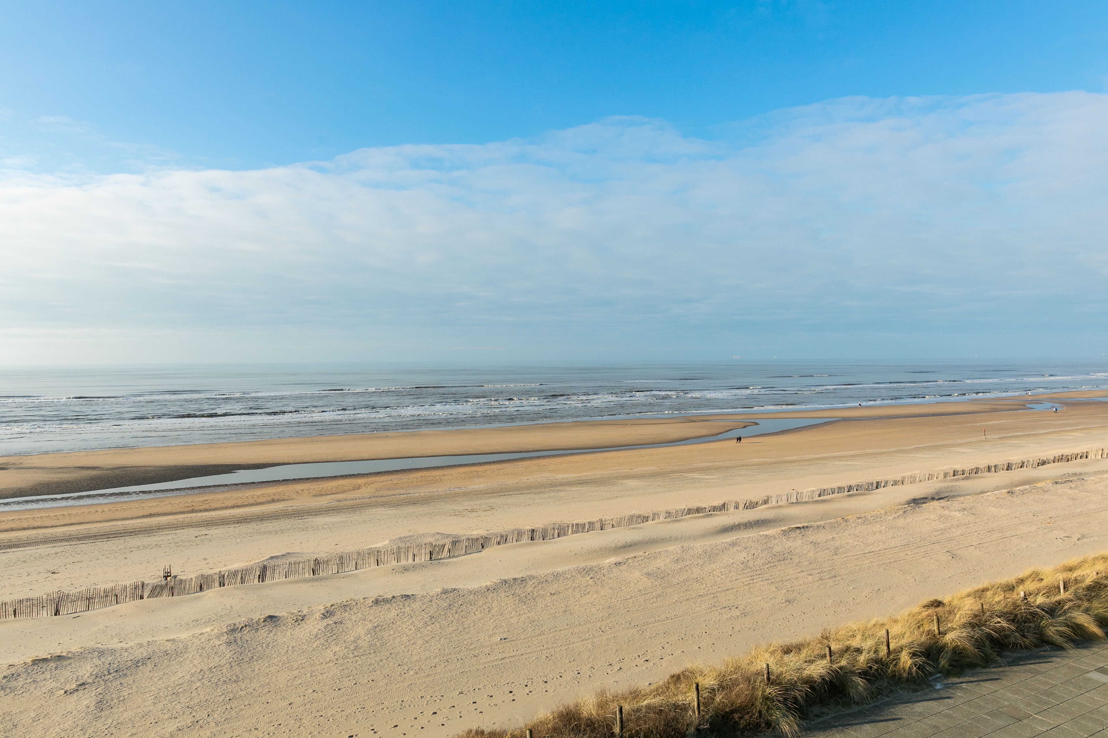 deluxe studio suite, 1 double bed, kitchenette, beach view | view from room