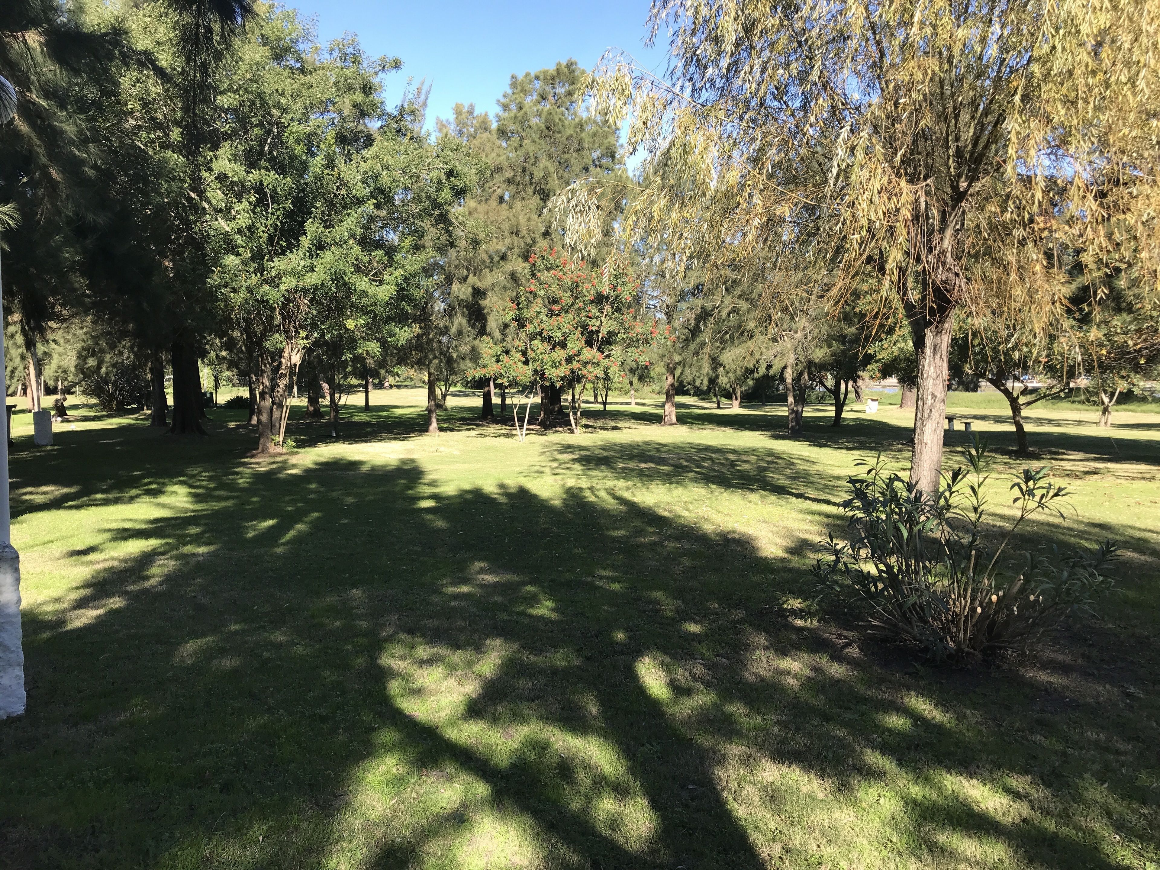 A park with various trees and a grassy area.
