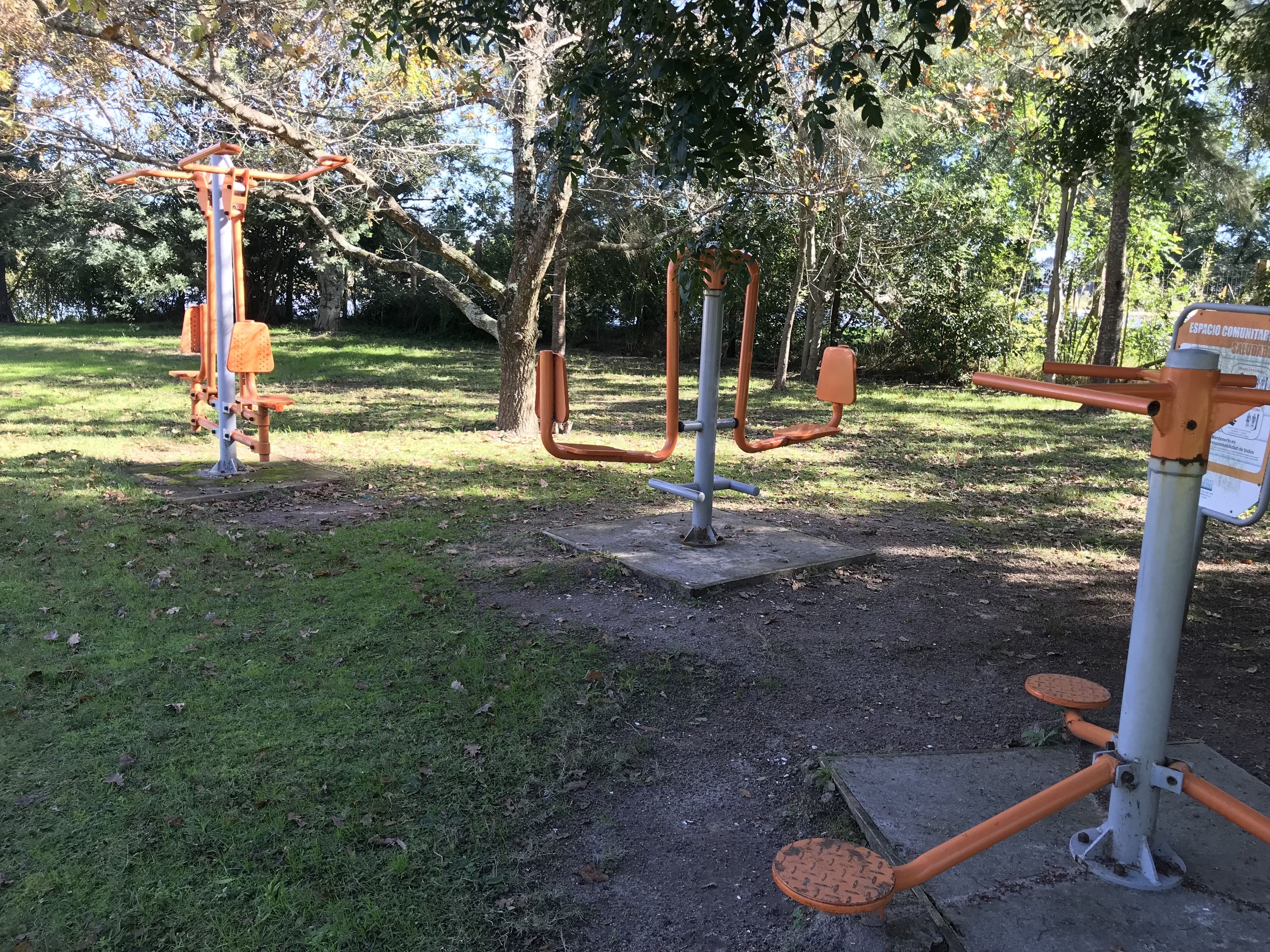 Equipos de ejercicio al aire libre en un parque con árboles y césped.