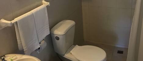 A bathroom with a toilet, bidet, sink, and shower.