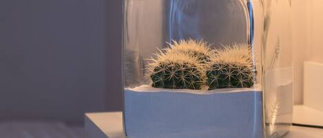 A clear glass vase with a cactus on a white surface, next to a lamp with a textured shade.