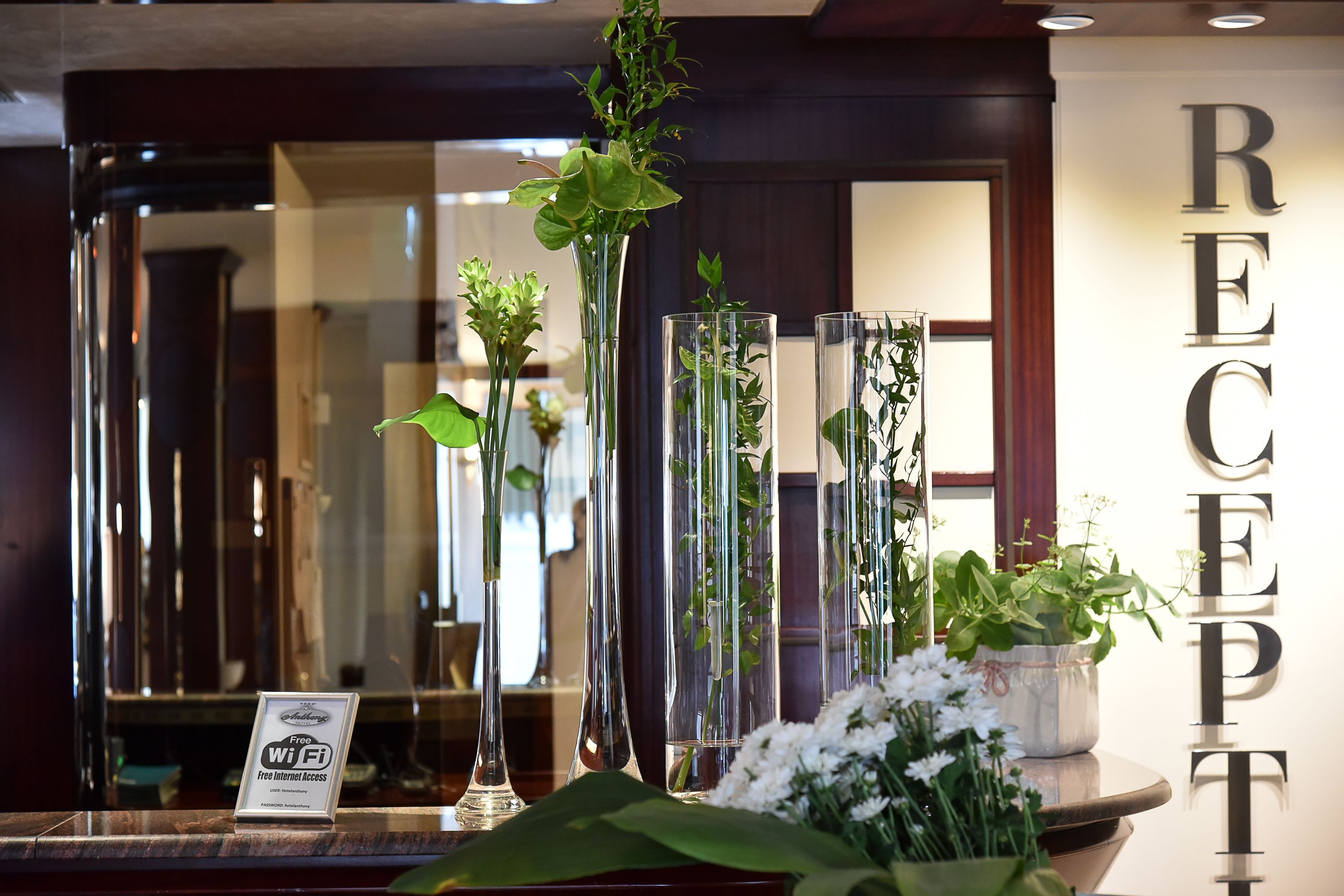 Foto - Hotel Anthony