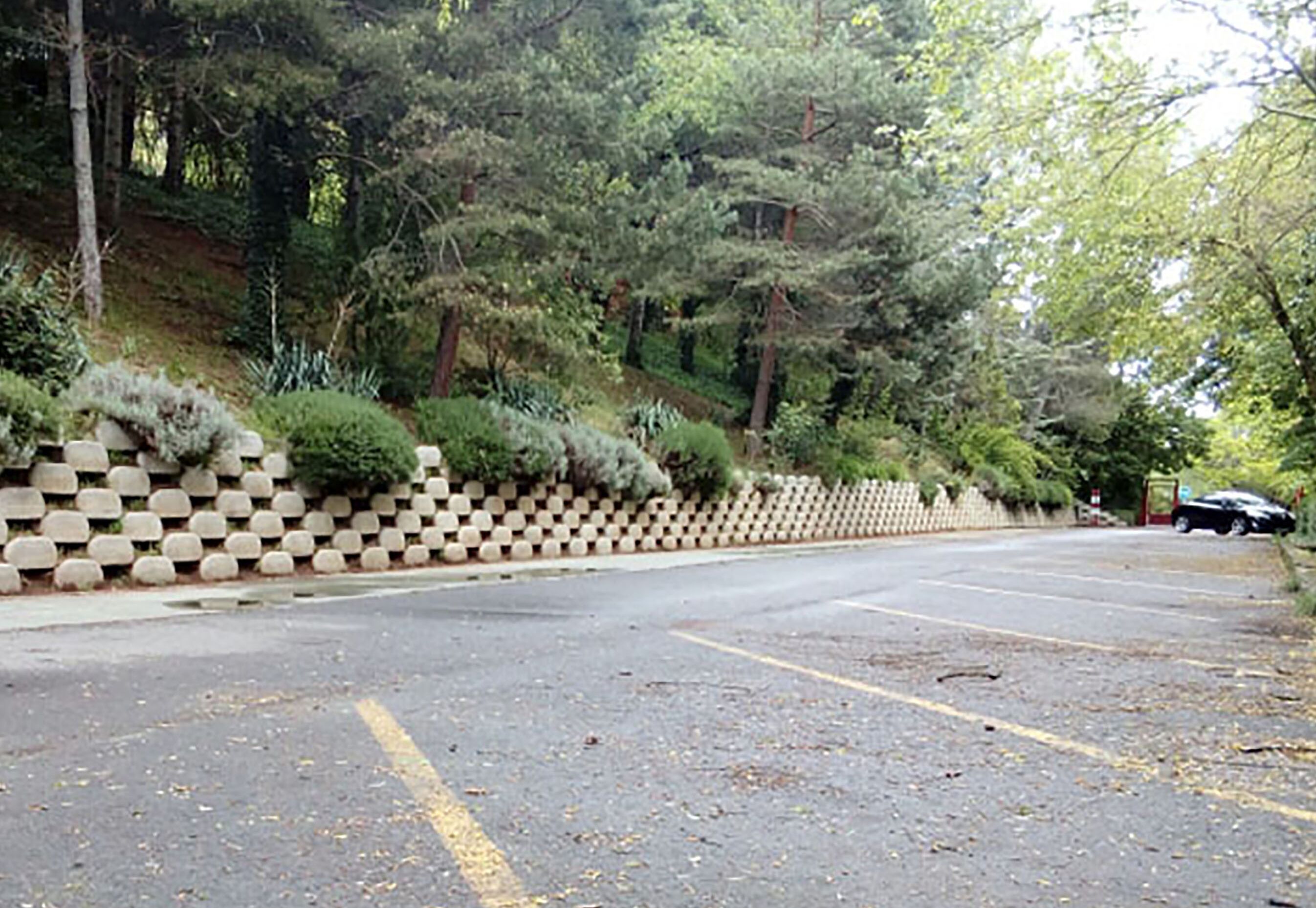 Gratis parkeerplaatsen