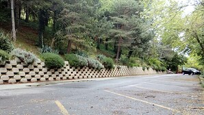 A parking lot with a row of parked cars, a stone wall with greenery, and trees in the background.