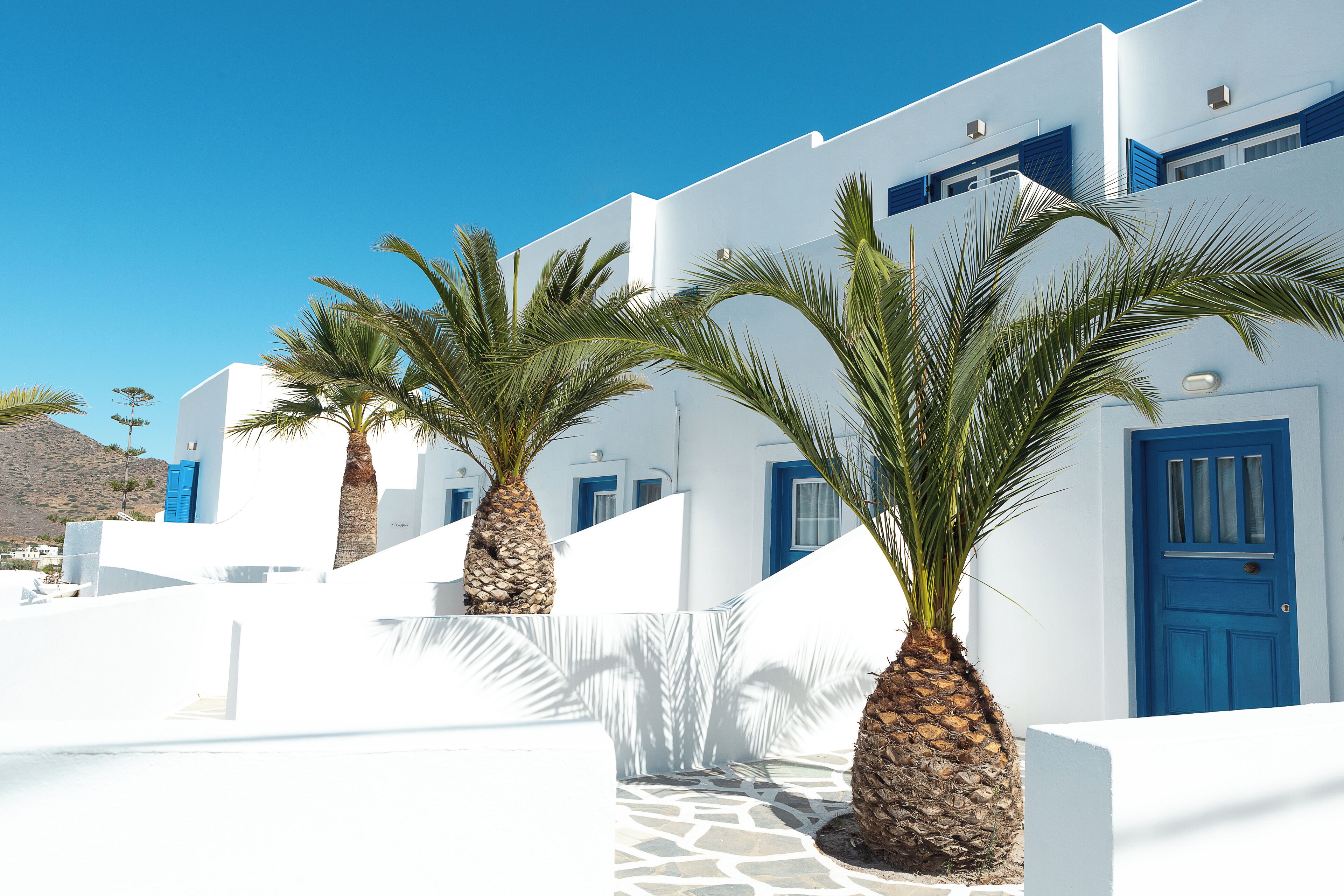 Classic Family Studio | Terrace/patio