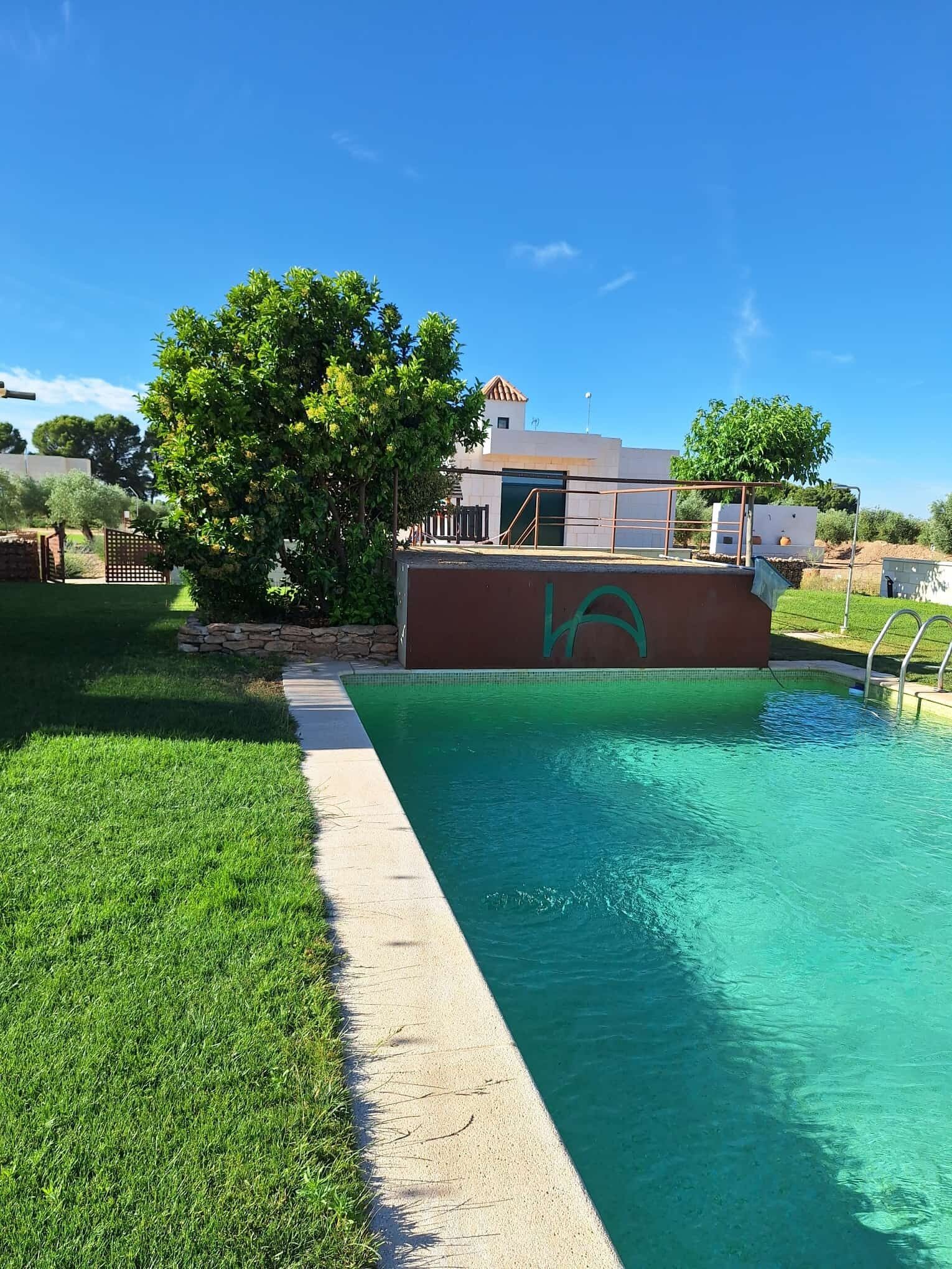 Seasonal outdoor pool, pool umbrellas, sun loungers